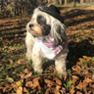 Meet your Posher, Abby